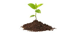 Rastlina – dokumenty k životnému poisteniu