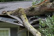 padnutý strom na strechu domu