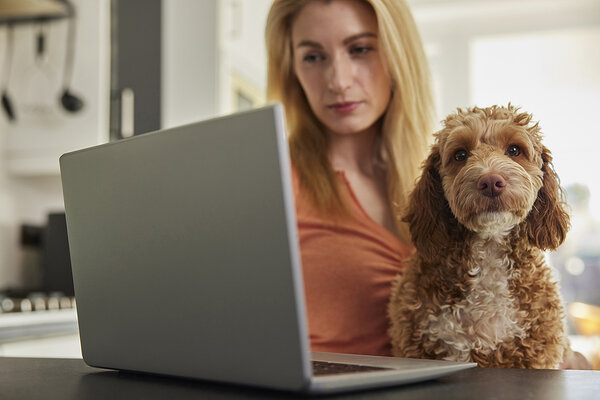 žena so psom sedí za počítačom